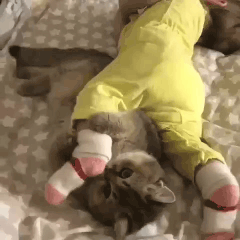 Жми на картинку, чтобы посмотреть видео. Источник: Одноклассники