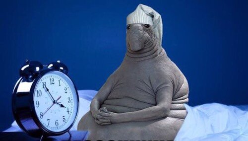 Первоисточник