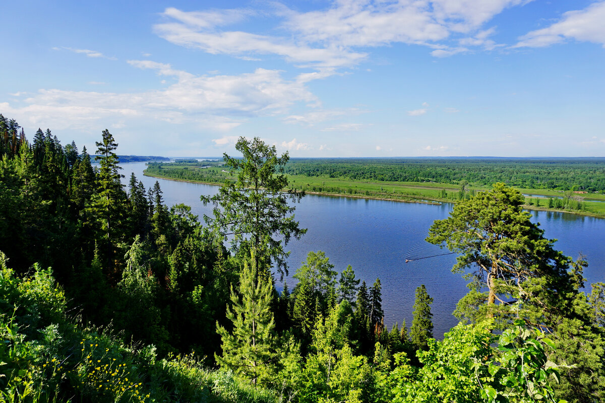Старцева гора сарапул фото