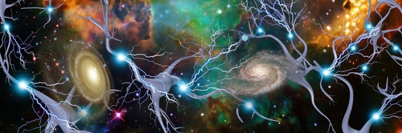 регенерация нервных цепочек