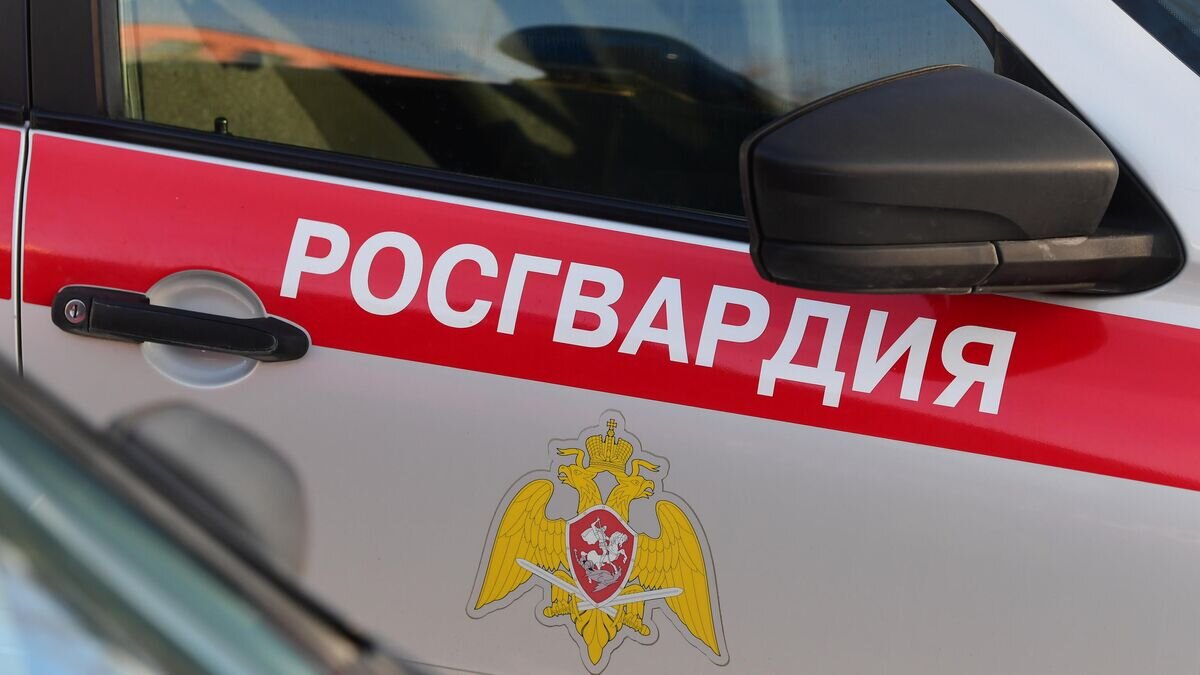    Автомобиль Росгвардии© РИА Новости / Алексей Майшев