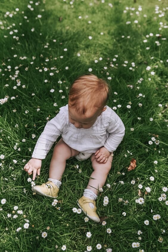 фото из открытого источника  Pinterest картинки   https://clck.ru/sJr6m