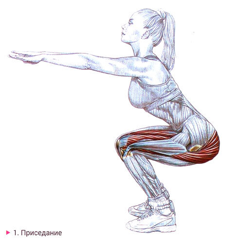 Многосуставное упражнение. Помимо ягодичных, активно работает передняя поверхность бедра.