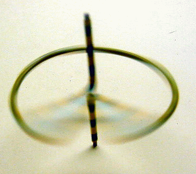 Фото с сайта http://www.ucke.de/christian/physik/ftp/lectures/sakaigir.htm