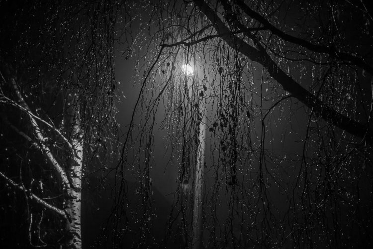 Фото из открытых источников. 