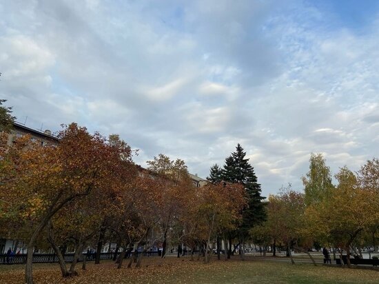    Фото: Мария Машанова / Сиб.фм