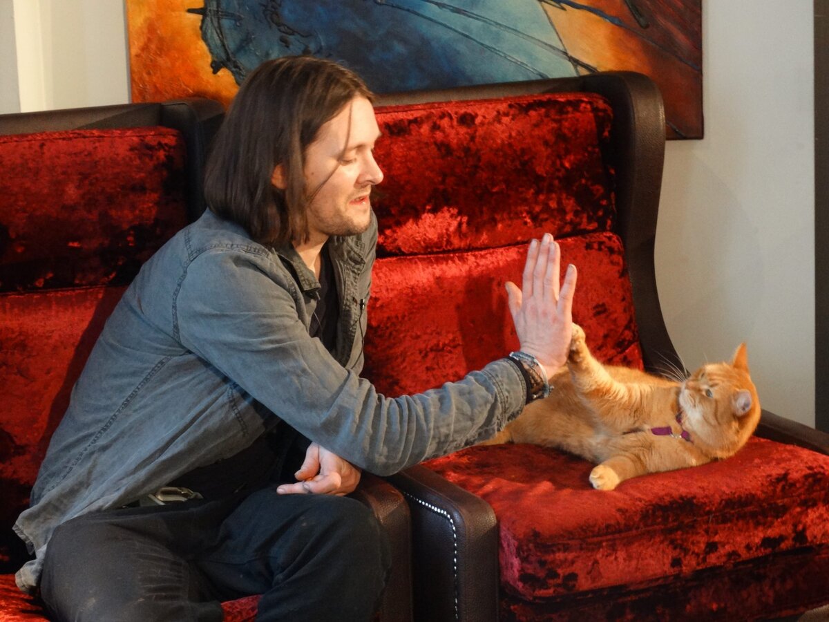 Джеймс Боуэн с котом Бобом