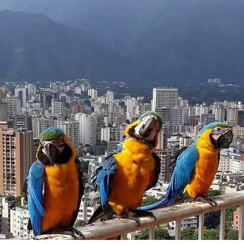 Фото из открытых источников