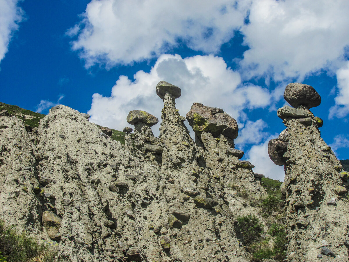 «Каменные грибы»