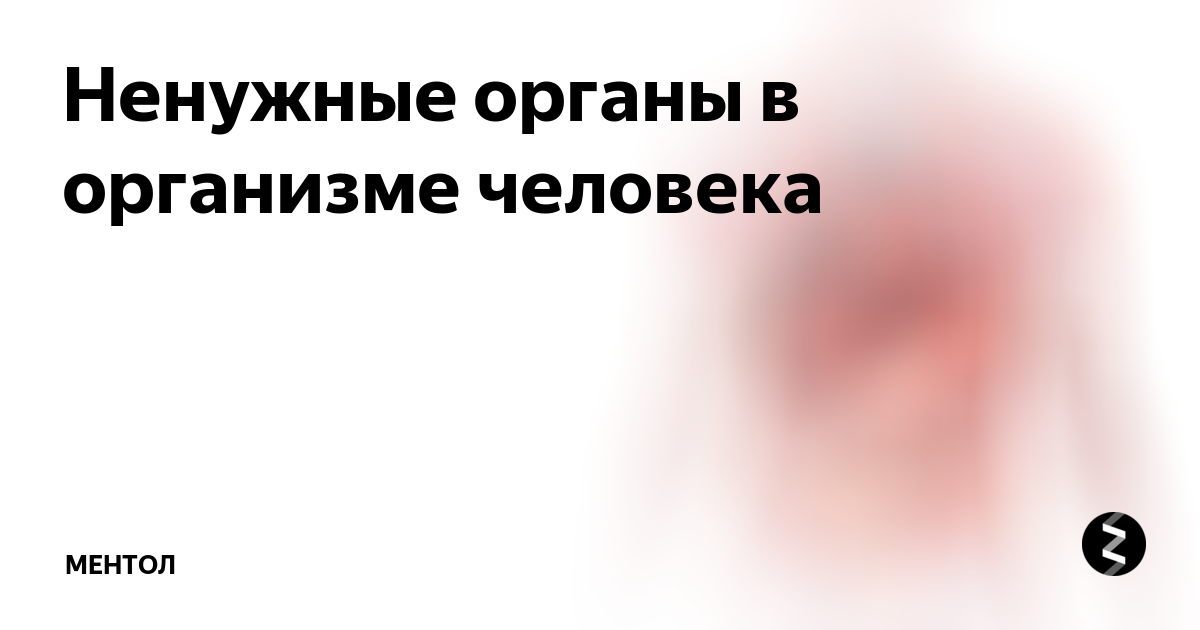 Рудименты и атавизмы у человека 8 класс биология. Бесполезные органы у человека. Ненужные органы у человека. Тело человека в разрезе для детей. Самый бесполезный орган в теле человека.