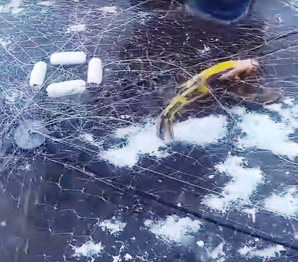 Рыбалка на Хапугу хлопок, зимой. Зимняя рыбалка на Амуре. | Fisherman  DV.27RUS | Дзен