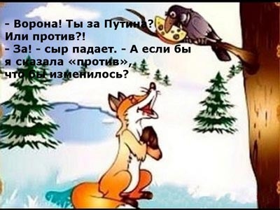 выборы