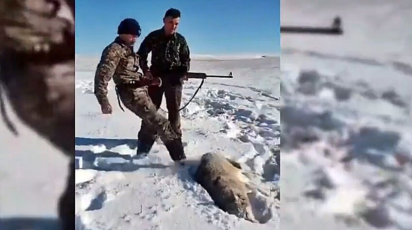 фото: скриншот  с видео вести.ru