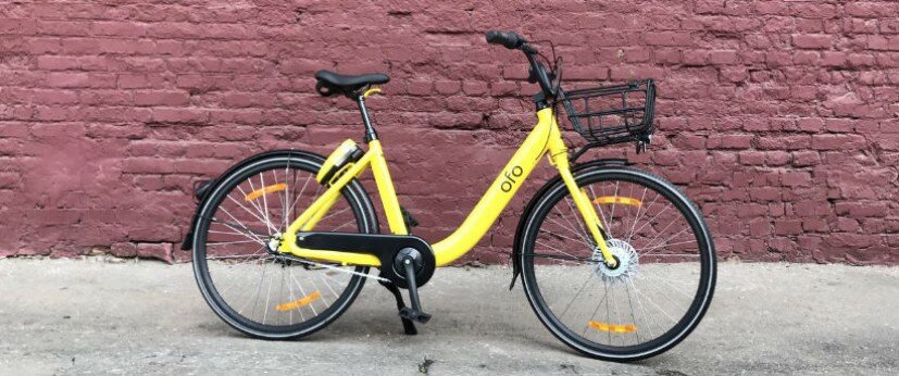 Ofo kz on sale