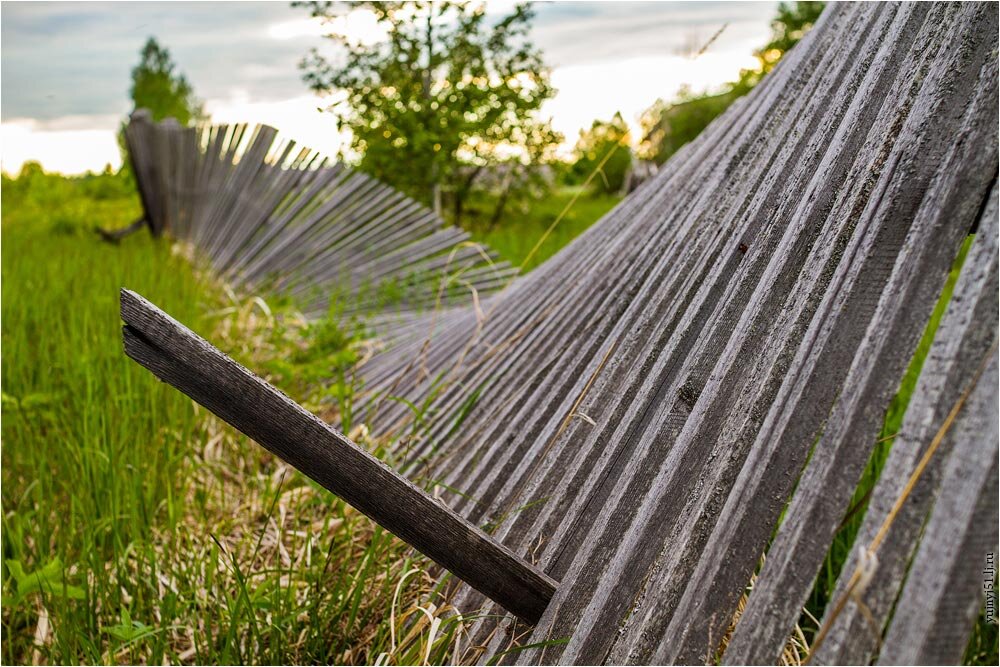 Станция можайская воронья гора. Семёновский район черниговская область. Заброшенный поселок совза. Каргопольлаг архангельская область. Станция нерехта железная дорога.