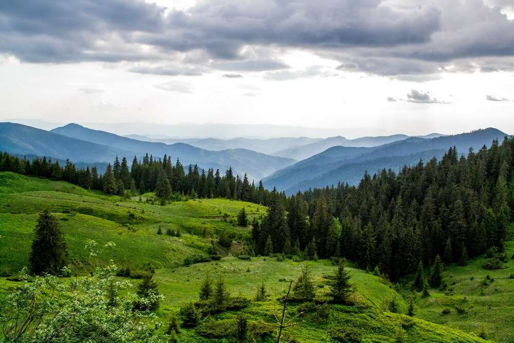 Картинки карпаты природа
