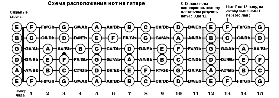 Accord note. Расположение нот на грифе гитары. Расположение нот на грифе 6 струнной гитары. Ноты на 6 струнной гитаре расположение. Расположение нот на грифе гитары 6 струн.