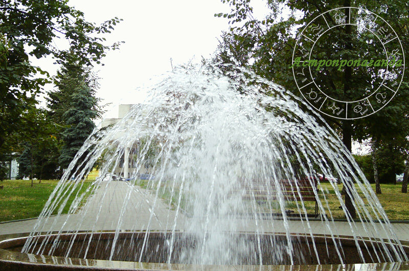 Фото Нины Стрелковой. 