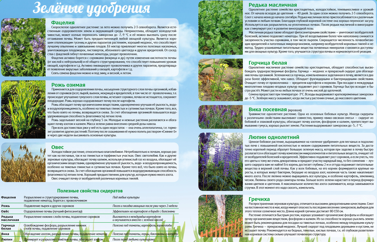 Содержание растений. Дефицит азота у растений. Повышенное содержание в растениях. Урок тема растения индикаторы. Растения сидераты таблица.