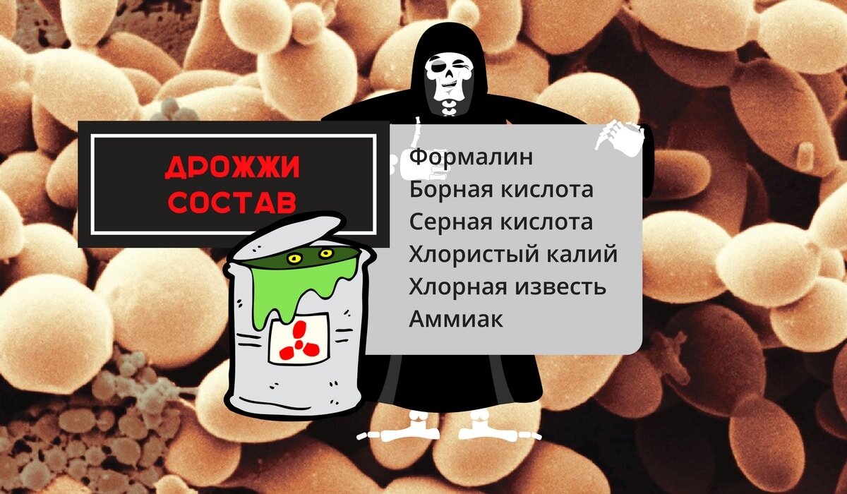 Хоть дрожи. Термофильные дрожжи. Вредные и полезные дрожжи. Полезные дрожжи для организма. Дрожжи вредны для организма.