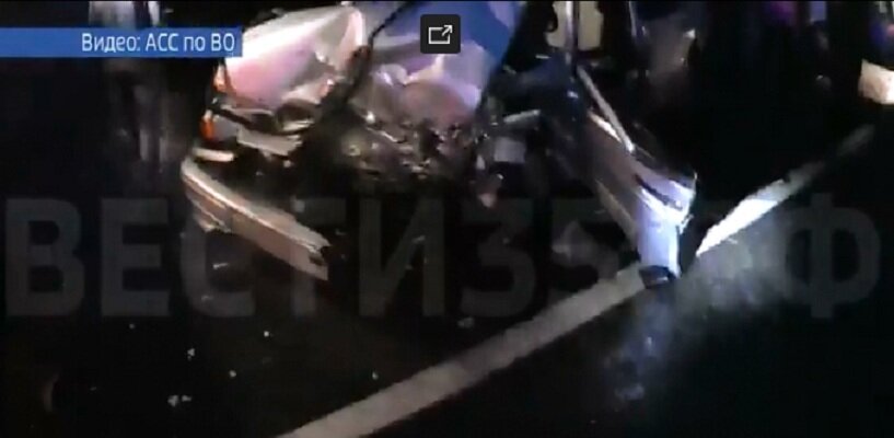 Фото: вести35.рф