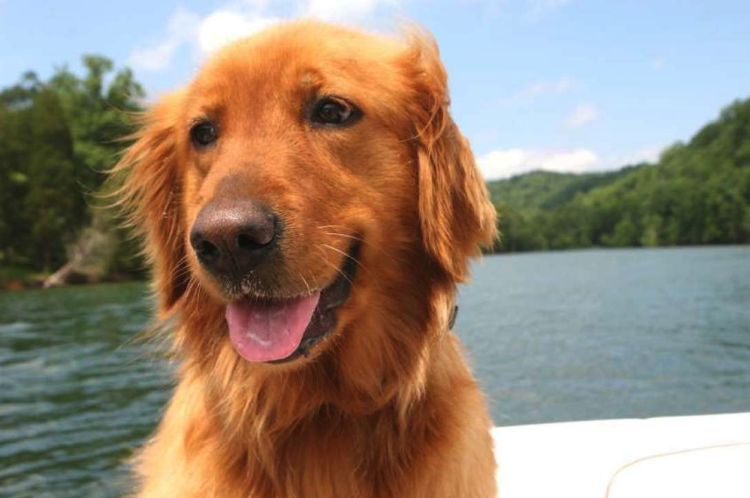 Палец вверх и подписка красавцу! 😋