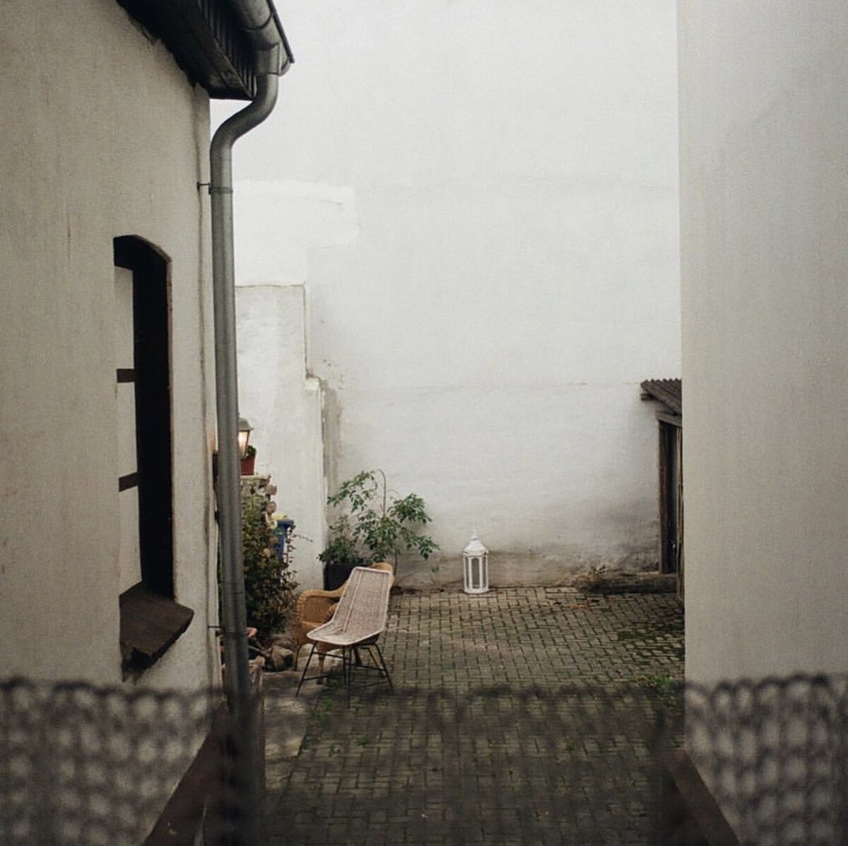 Photo: Alice Petrienko
