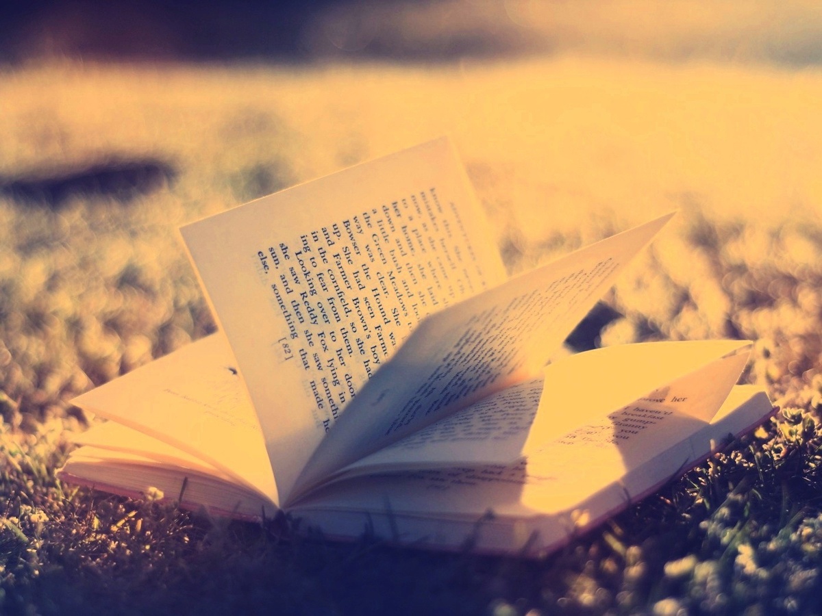 
Кому я должен больше всего извинений? Никто не был жестче, чем я был со мной.
 -Аланис Мориссетт, прости меня