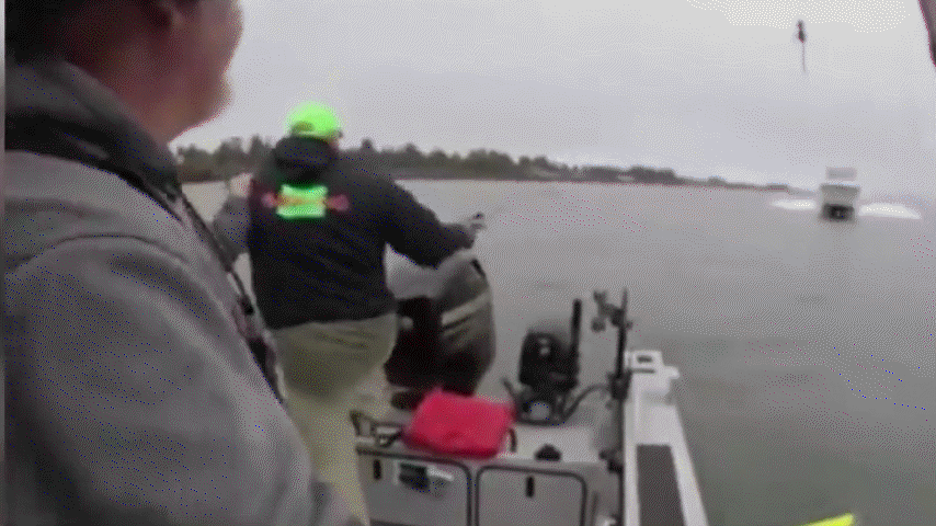 Да есть у нас лицензия, есть.  Не надо так горячиться......................... Вот и порыбачили.   