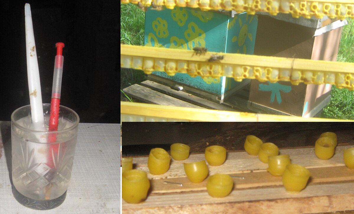 (с) все фото мои