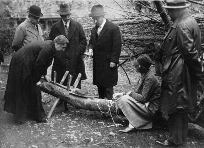 Экспертиза находок из Глозеля