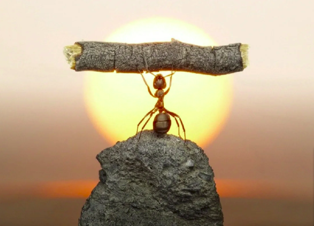 консультации по созданию и размещению капитала от Дмитрия Соболева