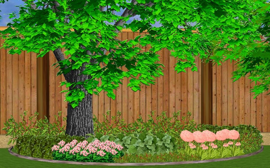 Клумба под деревом в мае
