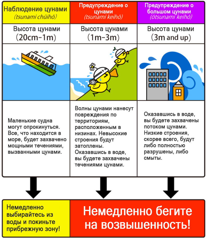 Дополните схему действий человека оказавшегося в волне цунами