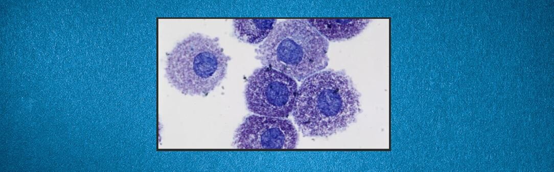 Источник: Яндекс Картинки