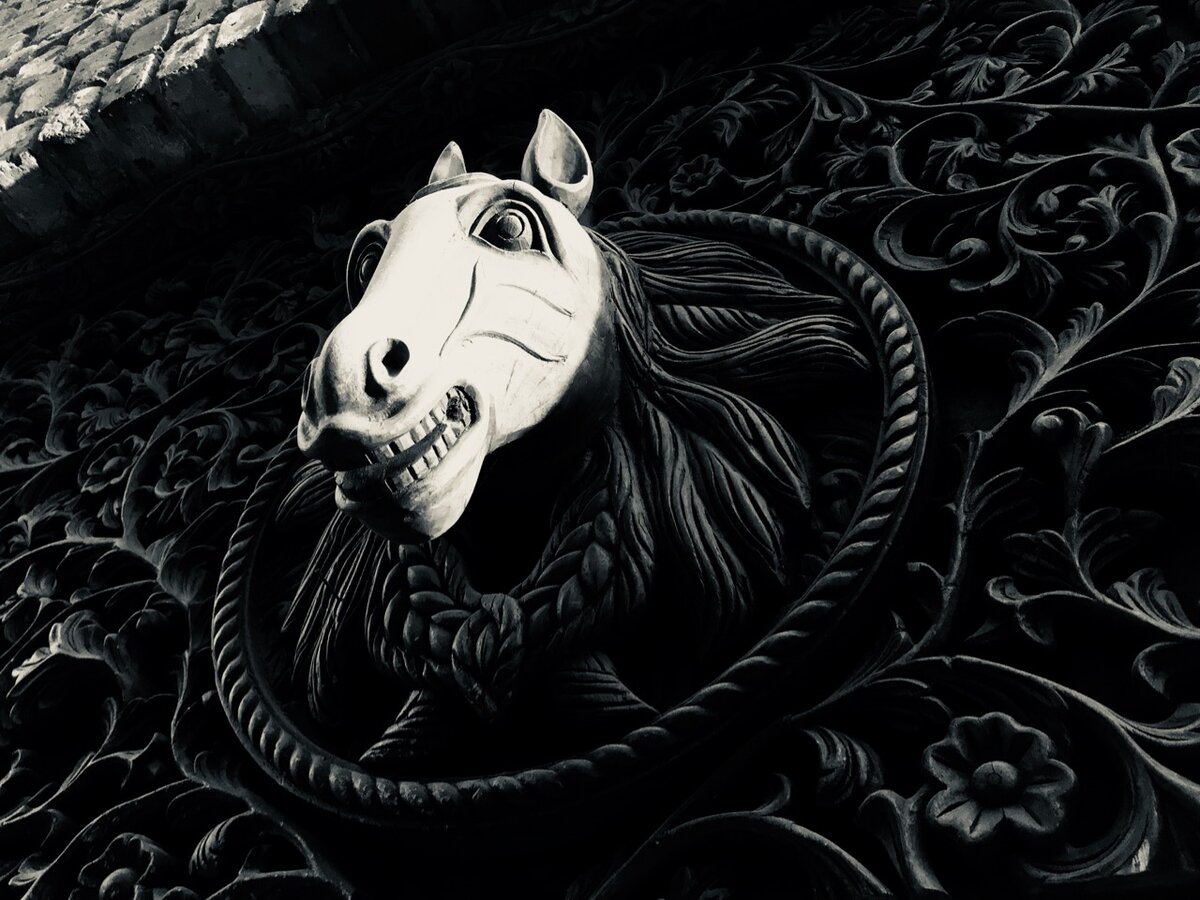 Моя фотография с сайта: https://photoskill.net