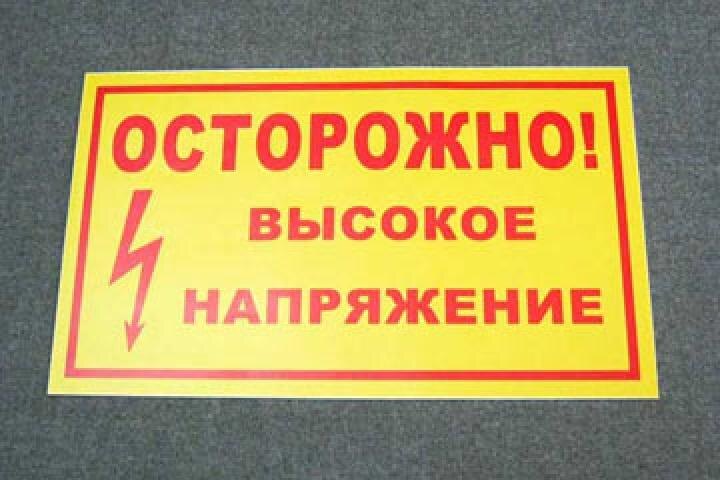 Фото: Augustnews.ru