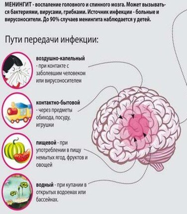 Менингит презентация казакша