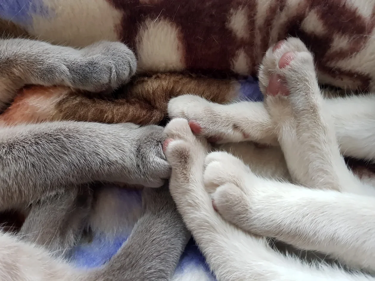 -2