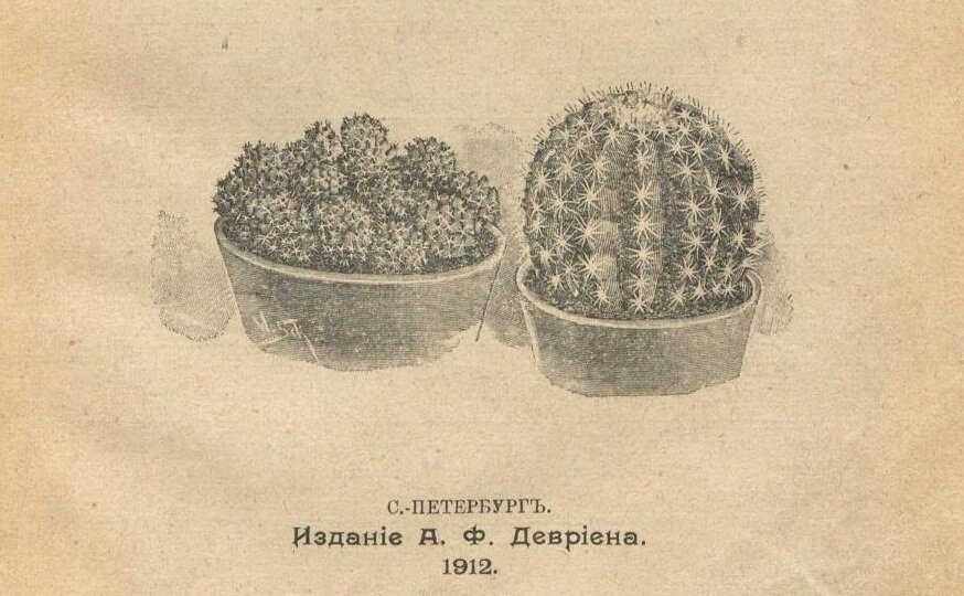 Фрагмент титульной страница книги  «Кактусы» Н. Н. Ляпунова. Полностью книга доступна в сканах на сайте Российской библиотеки. 