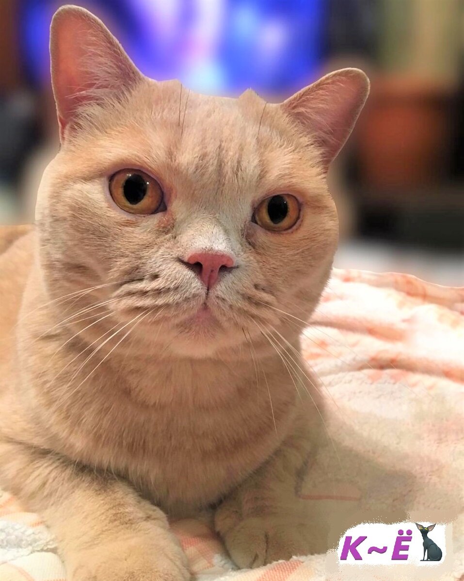 Матвей супер звезда