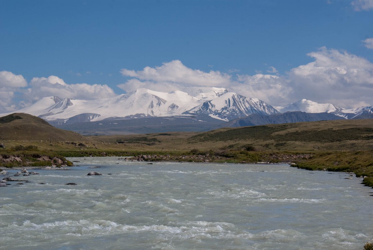 РЈРєРѕРє 2012 Denikin