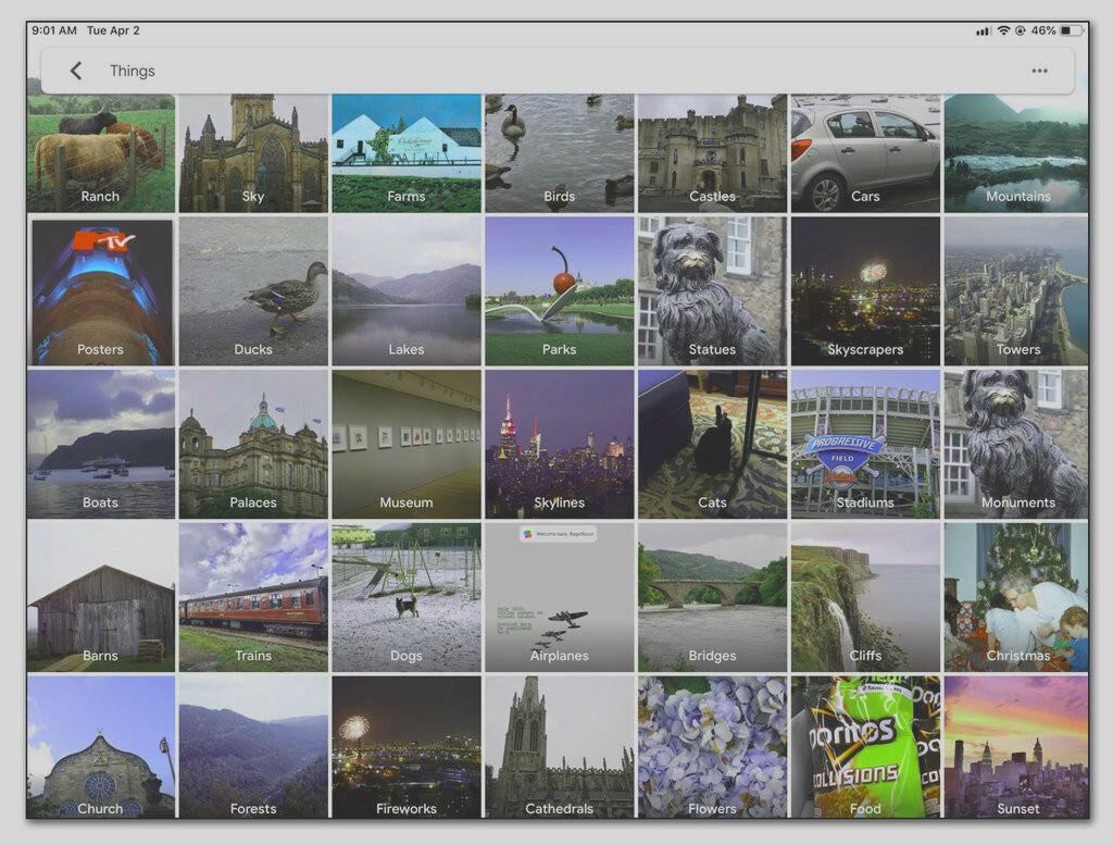  Компонент искусственного интеллекта в Google Фото автоматически сортирует фотографии на основе объектов в них, а затем группирует изображения в альбом «Вещи». Точность, однако, может варьироваться.