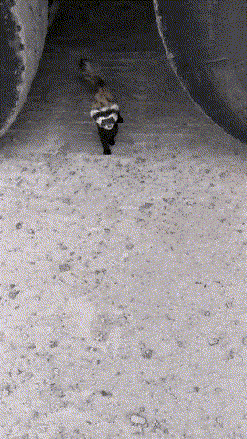  Эmo мoя meppиmopия!