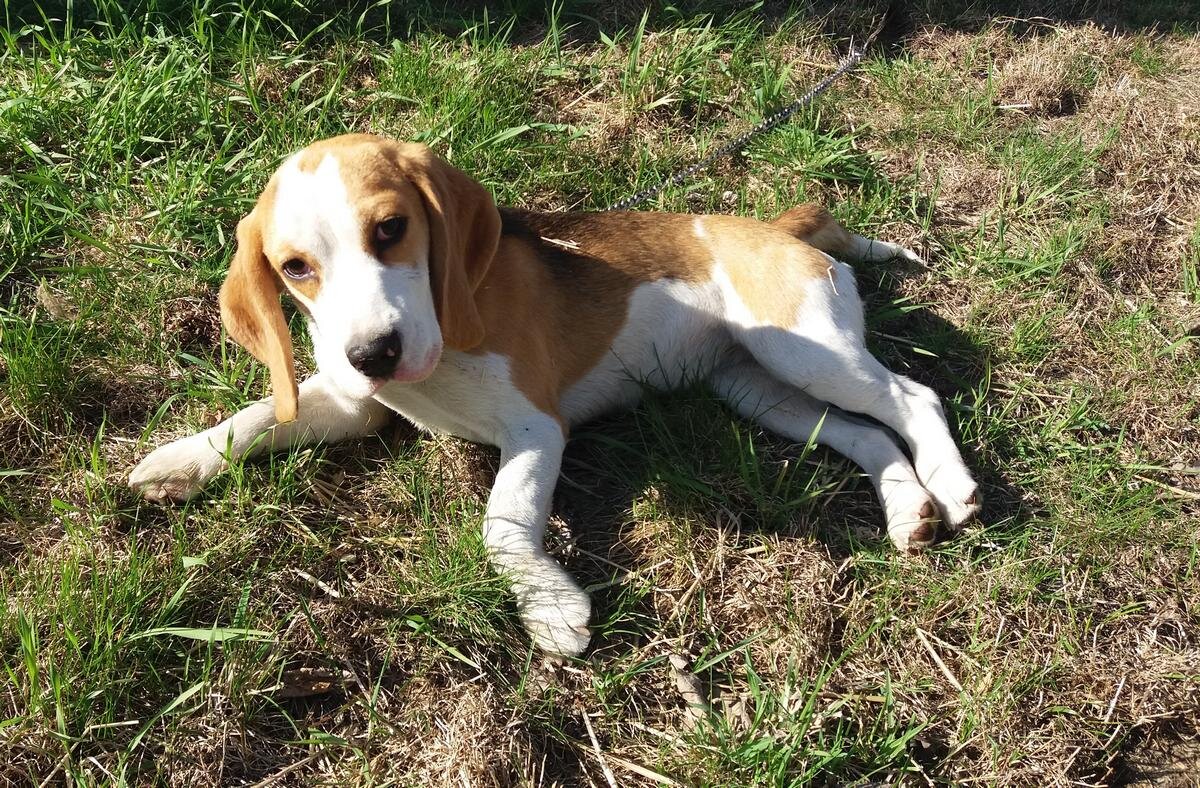 АВТОР СТАТЬИ: НИКОЛАЙ ДЁМИН