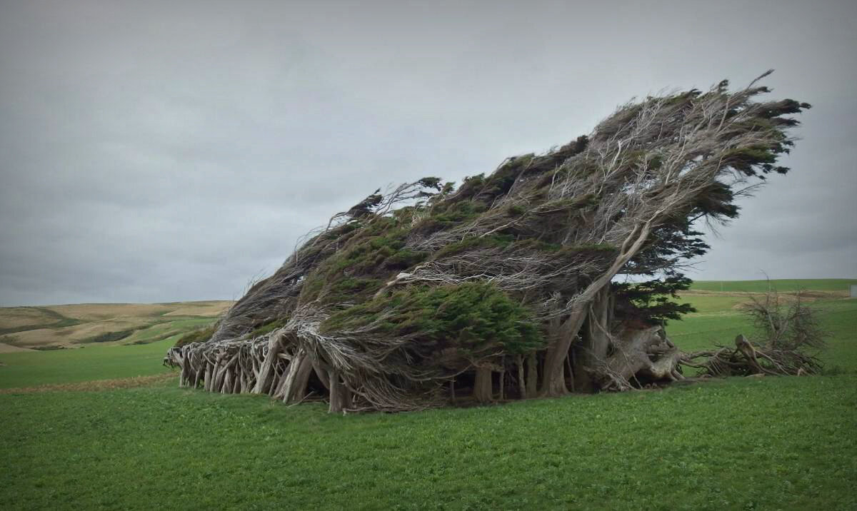 подборки мест, загадочные места, интересные факты, планета, природа, география,аномалии, странные места