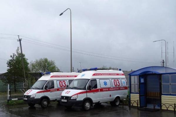 Фото: Валерия Акименко/ КРАСНЫЙ СЕВЕР