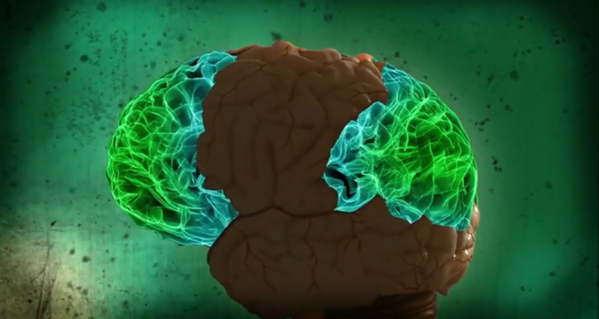 Зоны мозга, которые отвечают за внимание. Фото - www.onlinelife.club