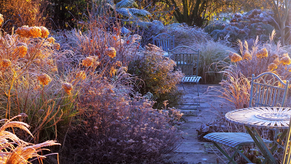 Изображение: https://www.jngardendesigns.co.uk/gardens/village-garden-fenwick