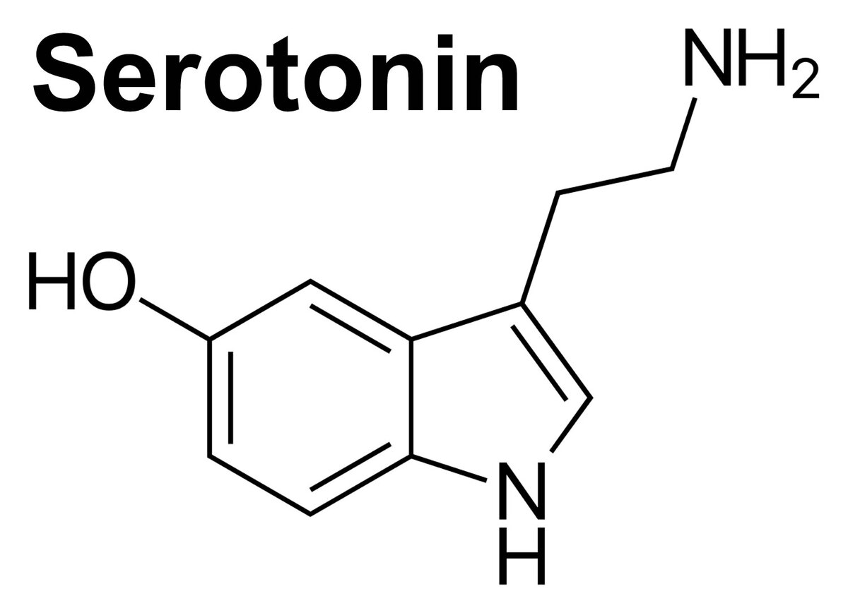 Серотонин нарушение